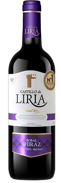 Castillo De Liria